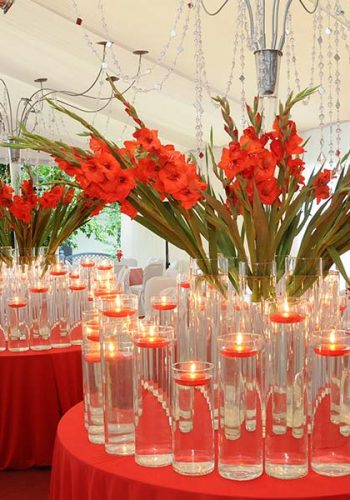 lili-schneider-eventos-empresarial-corporativo-5